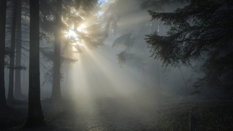 In de glans van heerlijkheid