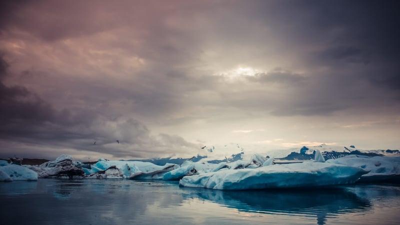 Haal ze daar levend weg