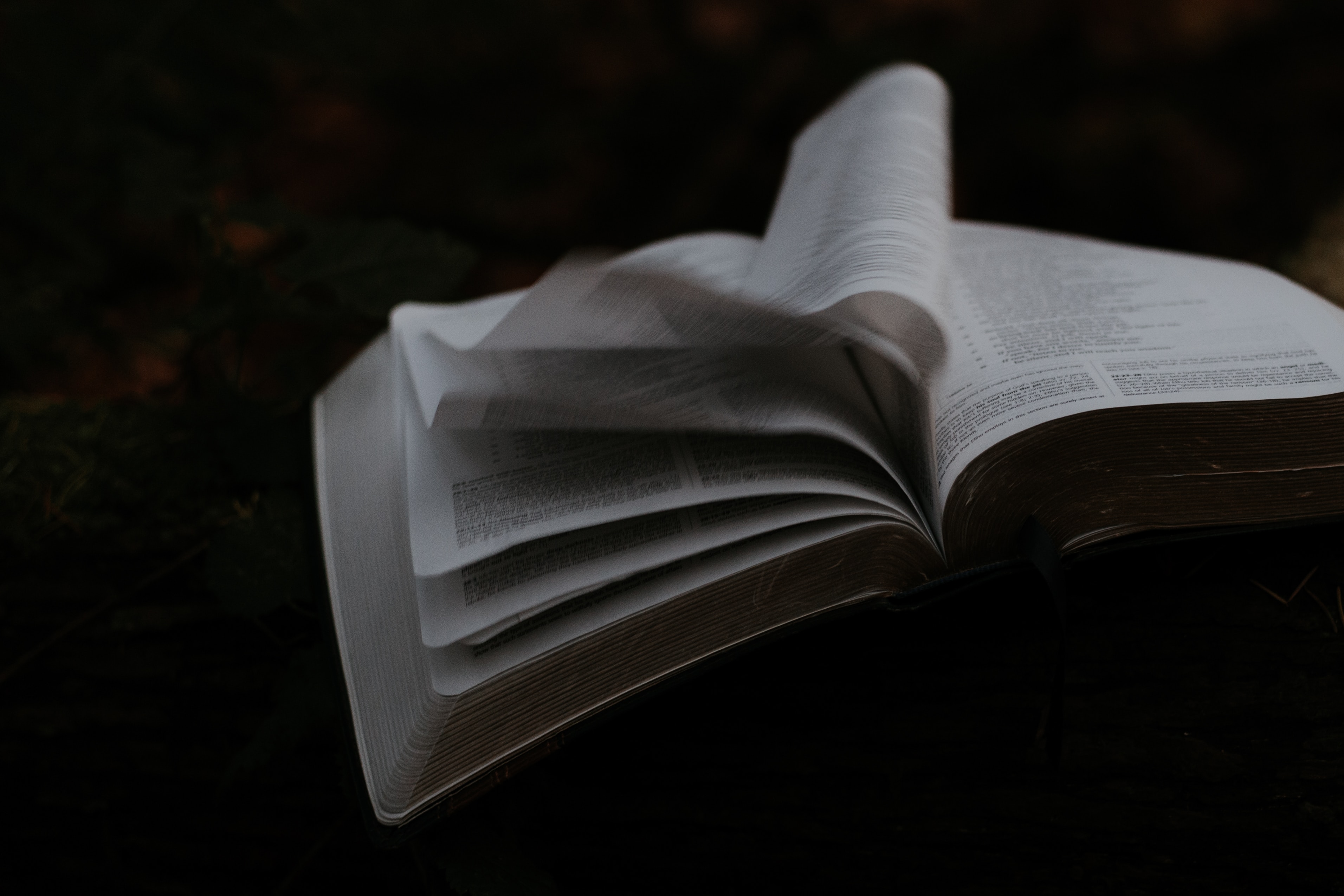 Waarom zijn er zoveel verschillende interpretaties?