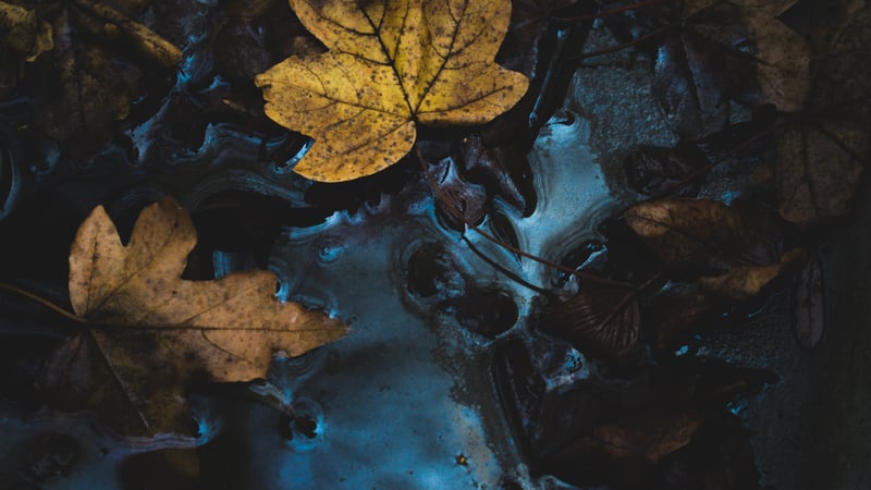 Mijn vriendin zegt dat ze lesbisch is — wat moet ik zeggen?