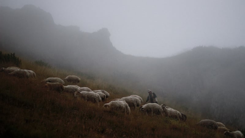 Wat als mijn gemeente een andere doopvisie heeft?
