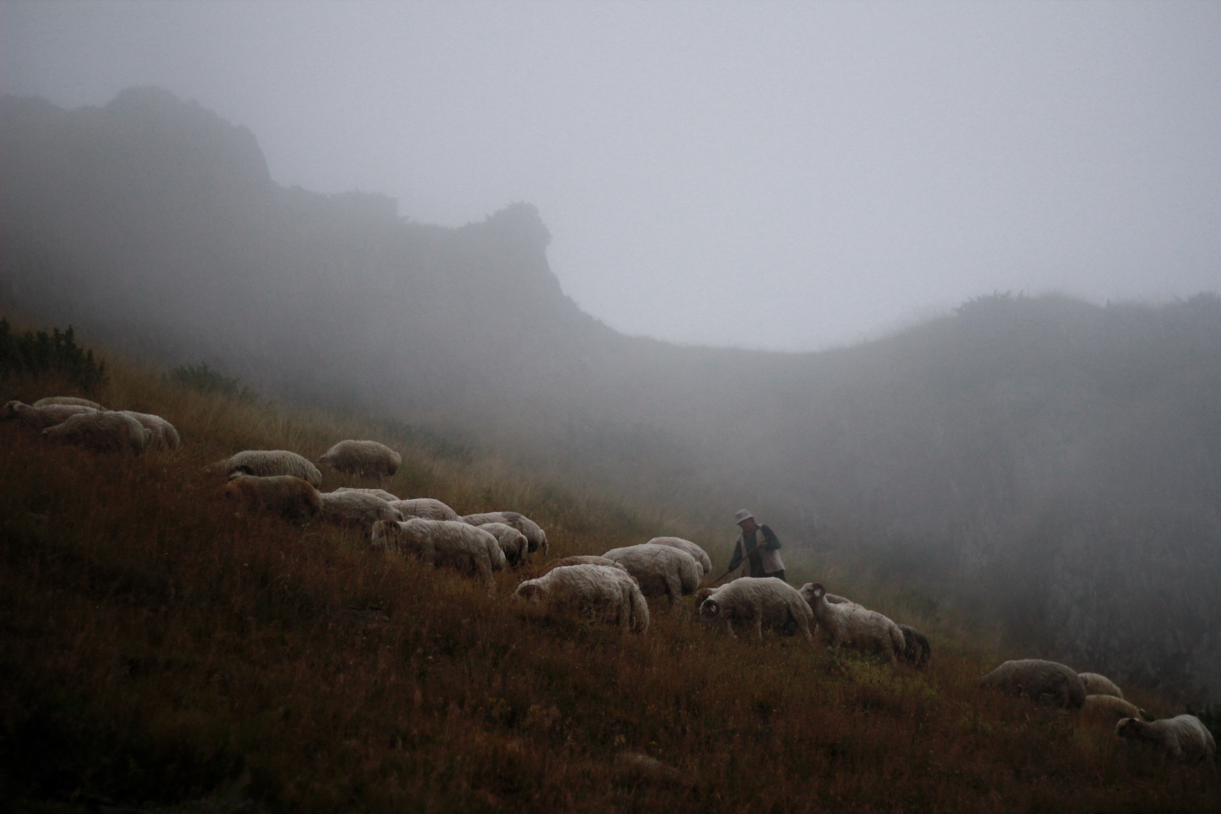 Wat als mijn gemeente een andere doopvisie heeft?