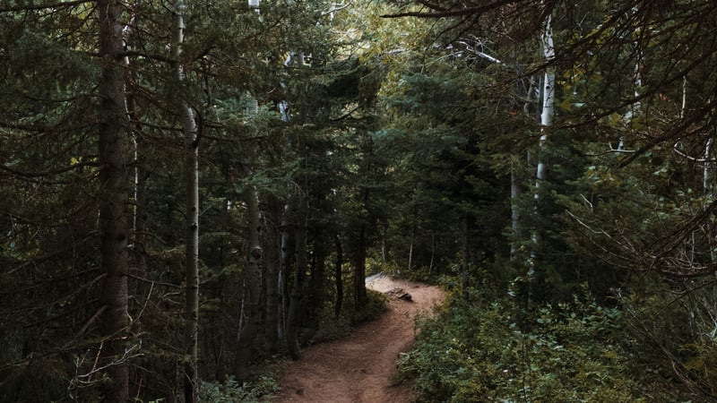 Van wie ben jij een discipel? (Lukas 14:25-35)