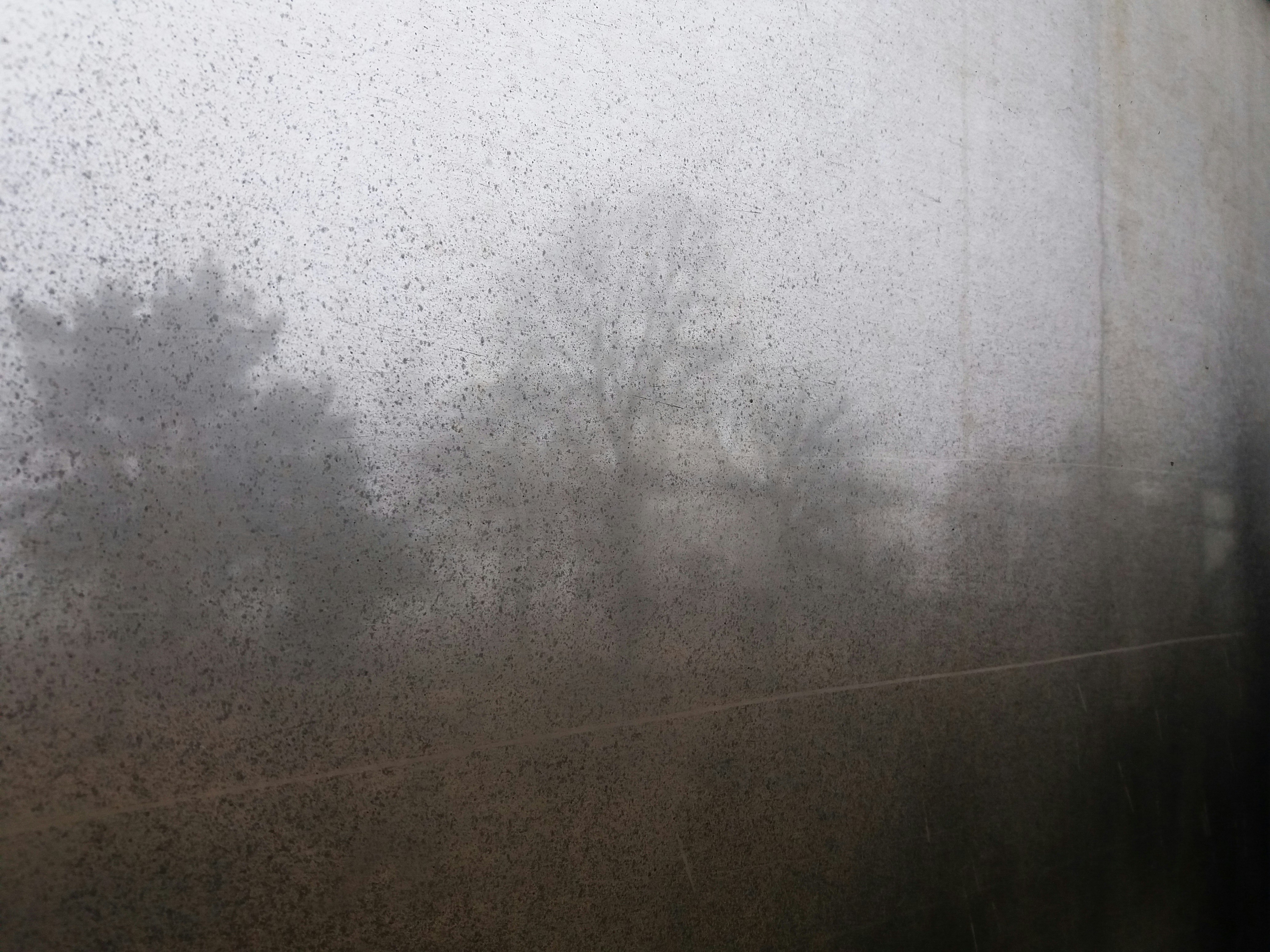 Hoe leggen we profetieen over de toekomst uit?