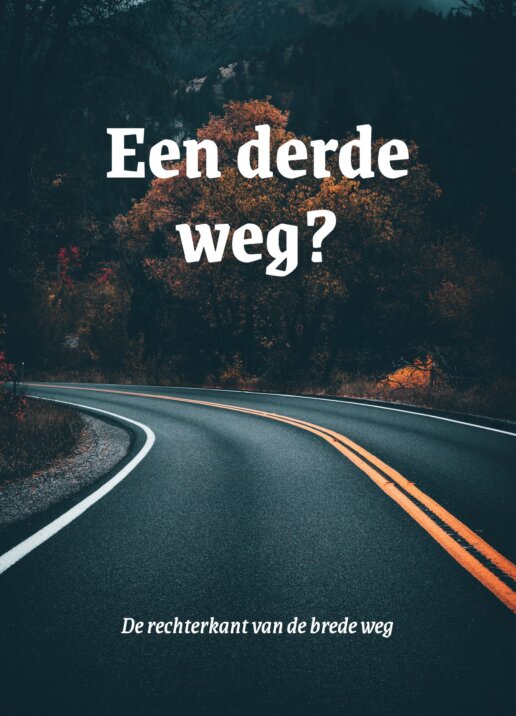 Een derde weg?